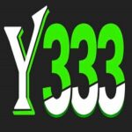 Y333 Game