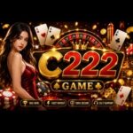 C222 Game