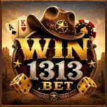 Win 313 Game