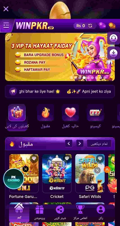 winpkr95
